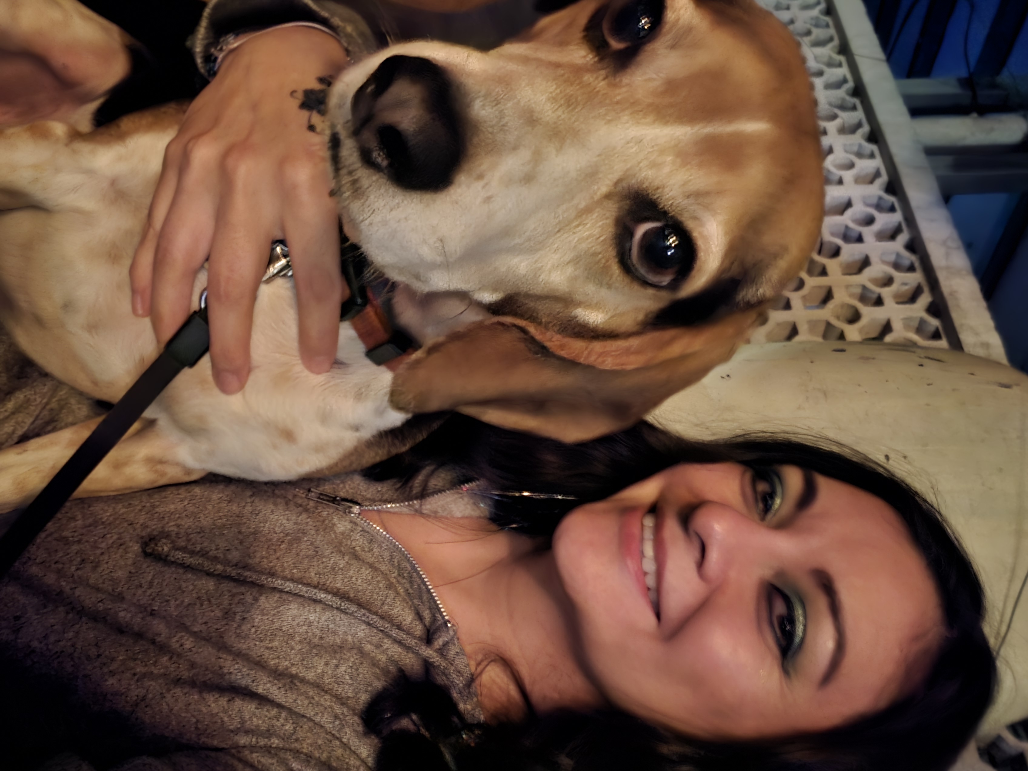 A woman with a beagle dog sitting on her lap