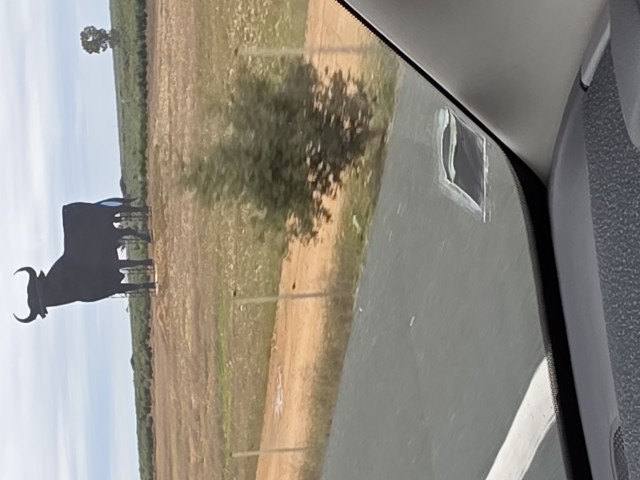 A large cutout of a bull on the side of the road in Spain