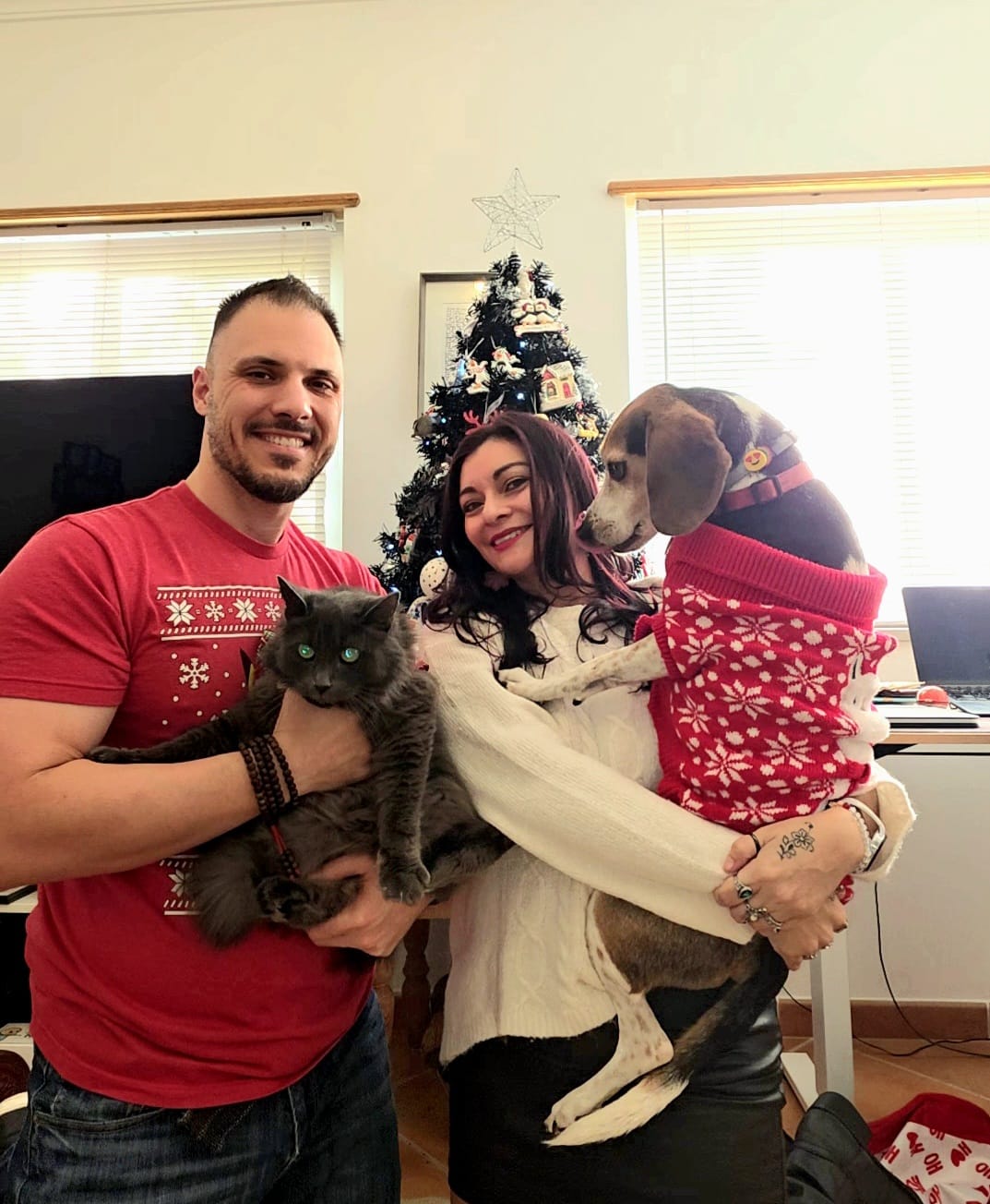 A man holding a gray cat in a dress and a woman holding a beagle dog in a christmas sweater pose in front of a christmas tree.