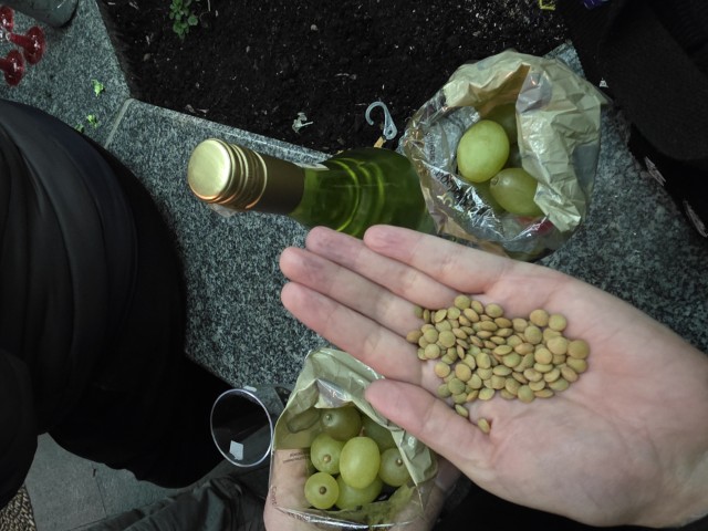 Hand holding lentils for the Spanish New Year's Eve prosperity tradition alongside 12 grapes and a bottle of Moscato at midnight in Córdoba Spain