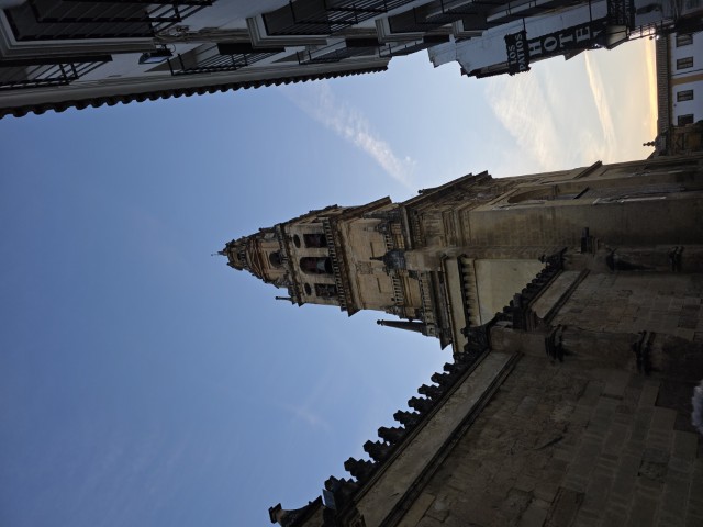 Bell tower of the Mezquita-Catedral in Córdoba Spain photographed at sunset from the street below